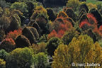 cevennes, automne, 2025,